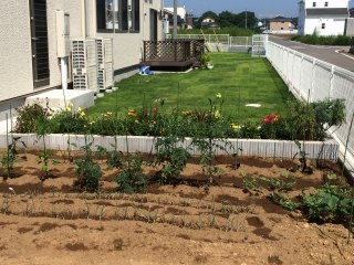 ピースフル・ウッズ東前