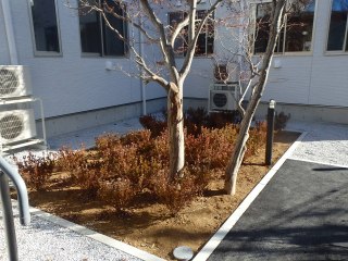 ハーモニー東松山