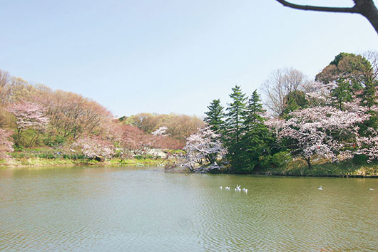 アズハイム横浜東寺尾