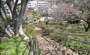 アズハイム横浜東寺尾