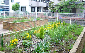 アズハイム大泉学園