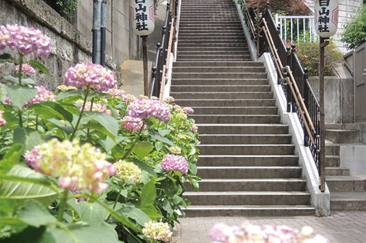 アズハイム文京白山