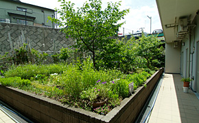 アズハイム横浜上大岡