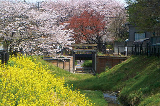 アズハイム東浦和