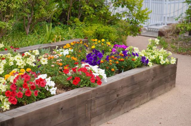 アズハイム市川