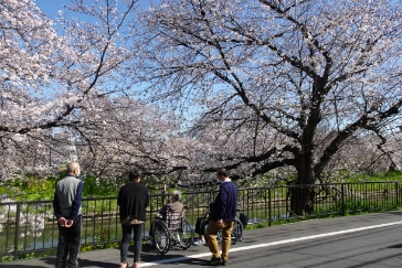 アズハイム市川アネックス