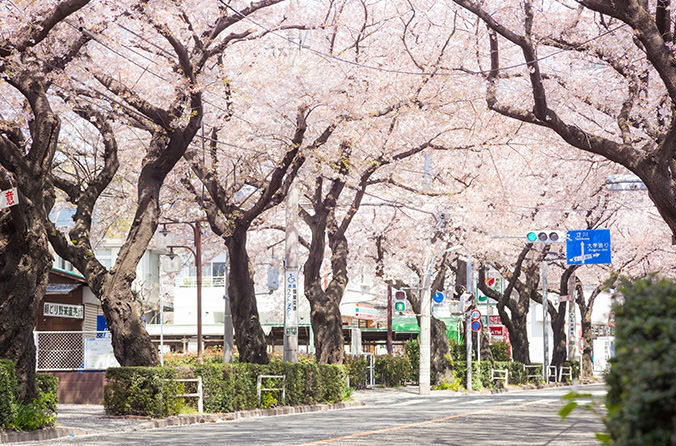 SOMPOケア ラヴィーレ国立矢川