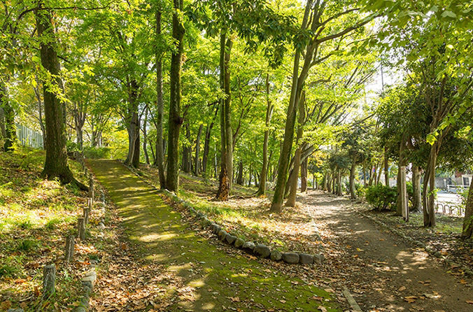 SOMPOケア ラヴィーレ羽村(はむら)