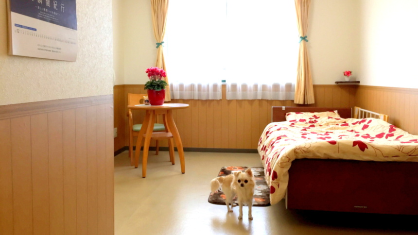 SOMPOケア そんぽの家 豊中利倉