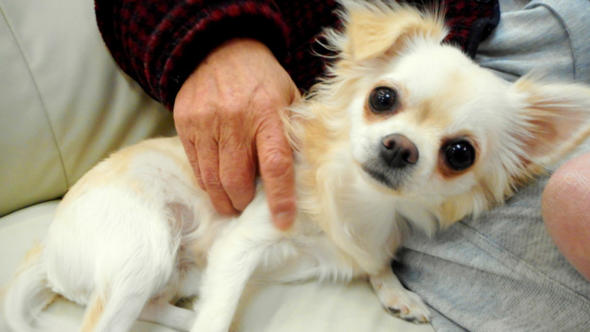 SOMPOケア そんぽの家 豊中利倉