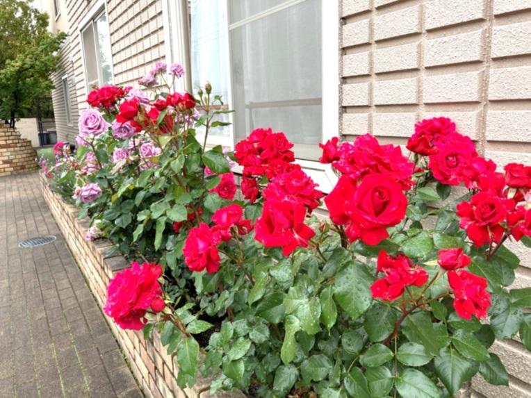 SOMPOケア そんぽの家 福山城東