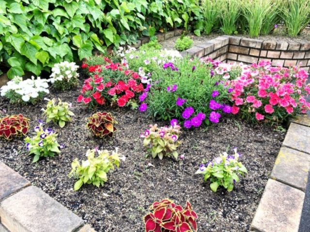 SOMPOケア そんぽの家 福山城東