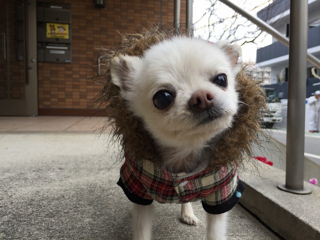 SOMPOケア そんぽの家 住吉遠里小野