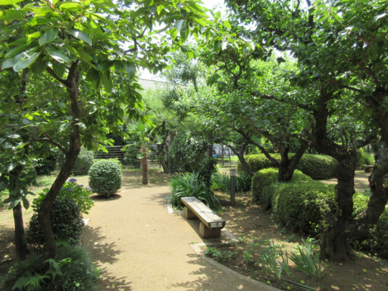 SOMPOケア そんぽの家 大宮見沼