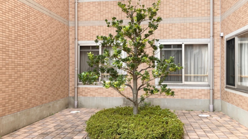 SOMPOケア そんぽの家 豊山(とよやま)