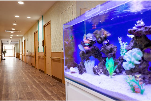 SOMPOケア ラヴィーレ川崎