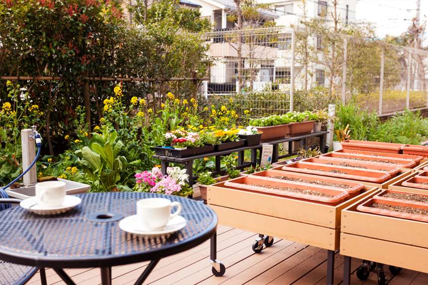 SOMPOケア そんぽの家 ときわ台