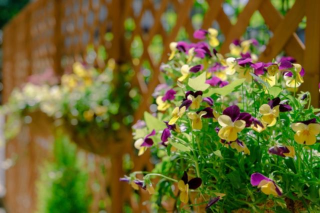 SOMPOケア そんぽの家S府中中河原