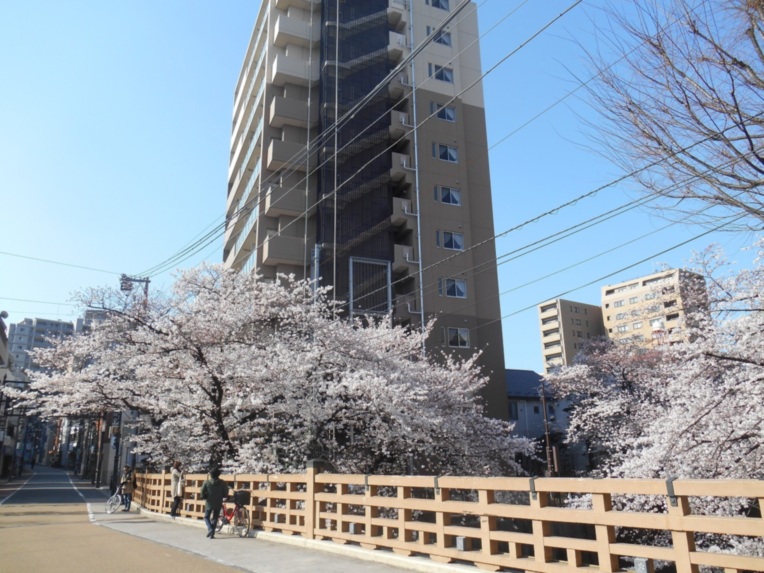 SOMPOケア そんぽの家S板橋仲宿