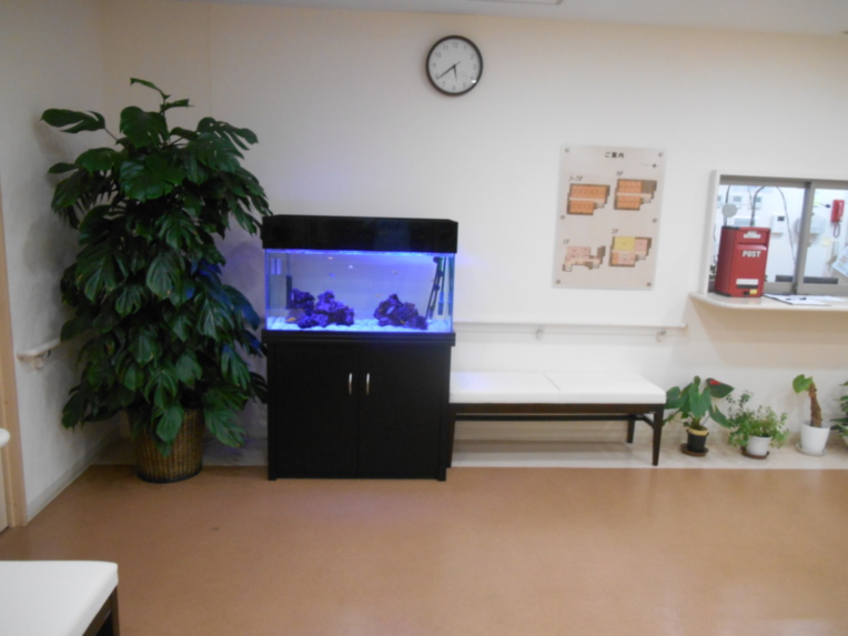 SOMPOケア そんぽの家S木場公園