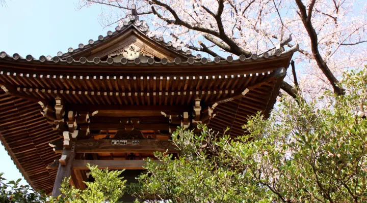 ローベル中野鷺ノ宮