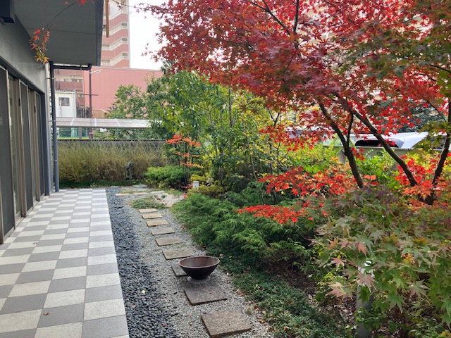 ココファン西院