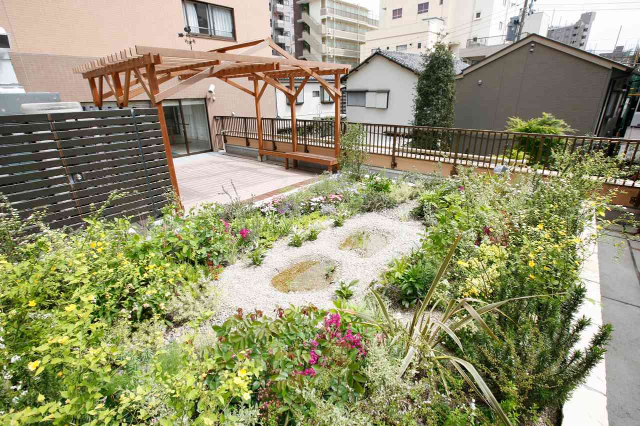 グレースメイト目白