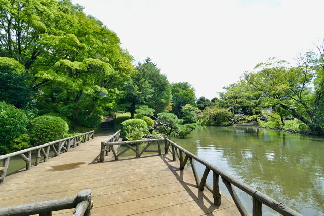 せらび有栖川