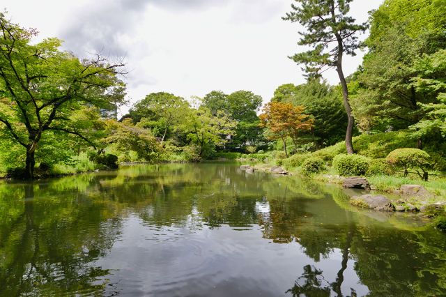 せらび有栖川
