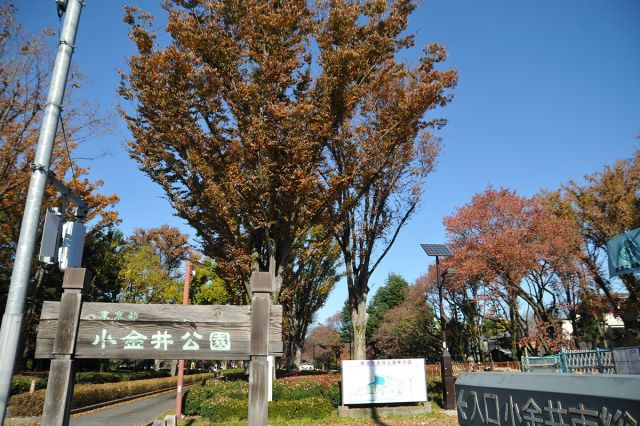 せらび小金井