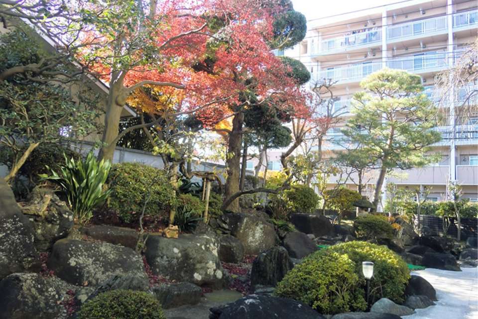 せらび芦花公園