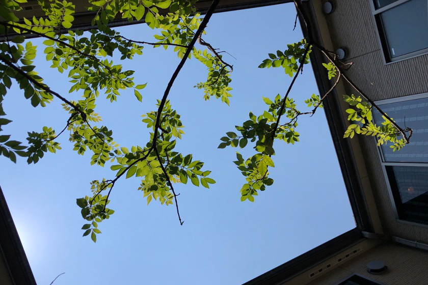 グループホーム ソラスト八王子まりや