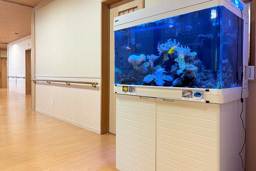 グループホームソラストてらど