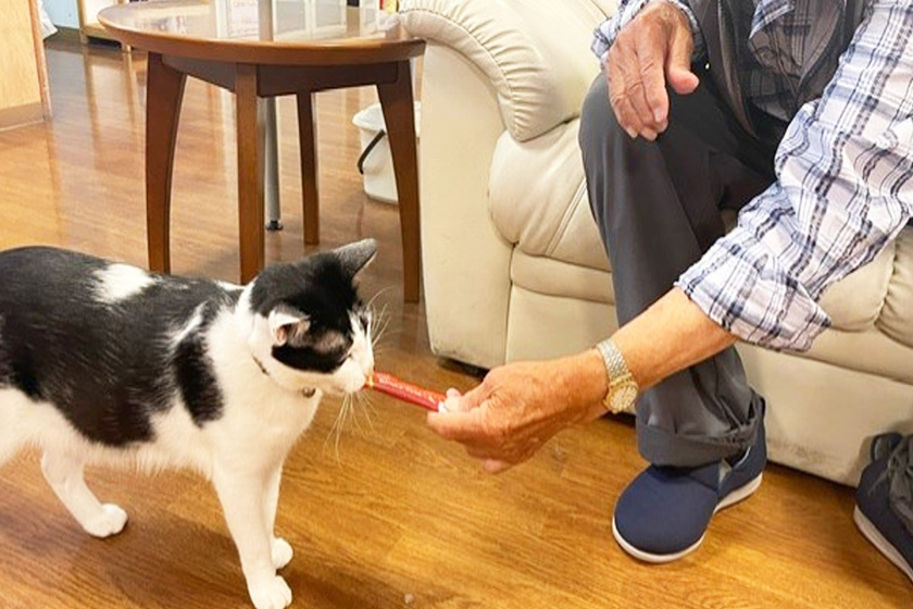 グループホームソラストももか太子