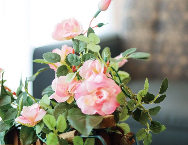 リアンレーヴ三ツ境