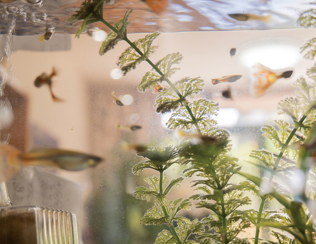 ライフコミューンいずみ中央