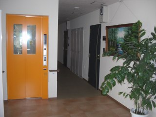 フローラ菜の花