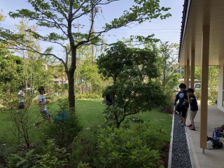 銀木犀<八千代>