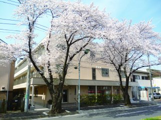 サボテン六高台