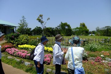 イハナハウス
