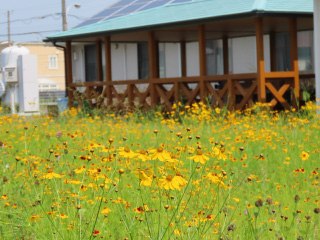 あいあいハイム