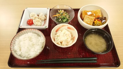 サービス付き高齢者向け住宅ミナハウス川北