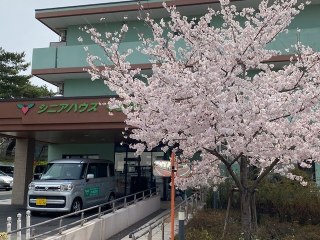 シニアハウスくさばな