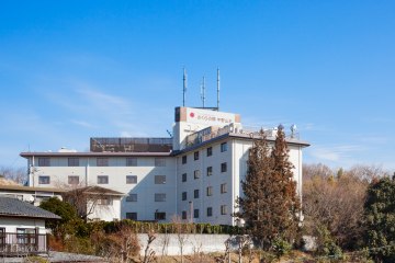 さくらの郷中野山王