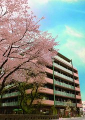 ゆいま~る拝島