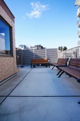 シャインステージ藤棚