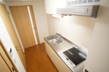 シャインステージ藤棚