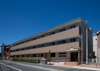 プリメーラカサリカ