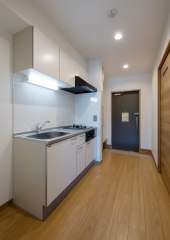 プリメーラカサリカ