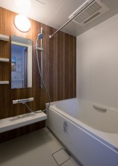 プリメーラカサリカ